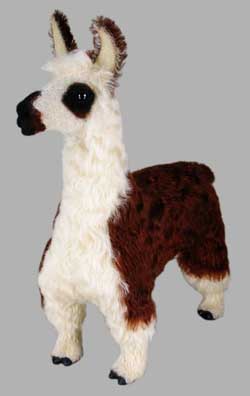 caspar