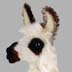 caspar