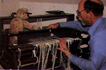Picture of loom
