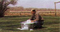Picture of washing