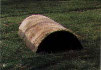 Picture of drying